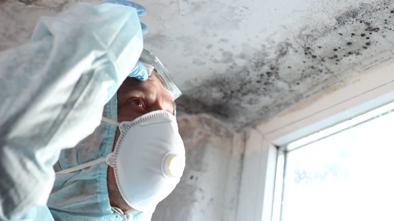 Best Industrial Mold Remediation  in Darnestown, MD